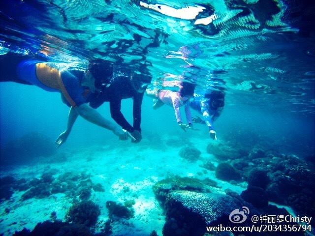 虫虫助手下载