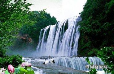 88影视